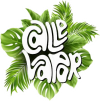 CALLE VAPOR